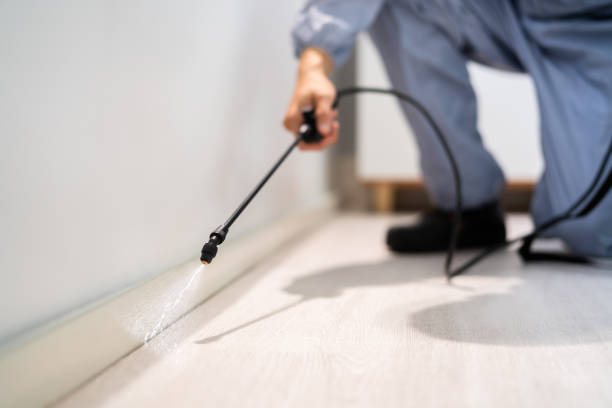 Licensed Termite Control service in Lawrenceville, NJ - Nex Pest Control
