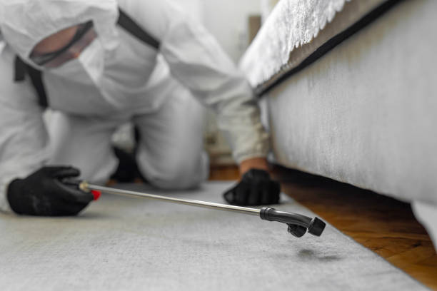 Professional Termite Control technician working in Lawrenceville, NJ