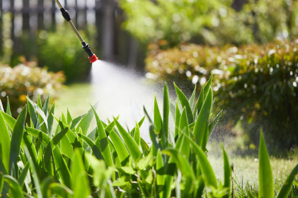 24/7 Emergency Termite Control experts in Lawrenceville, NJ