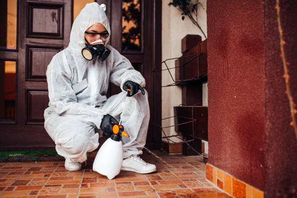Reliable Termite Control contractor in Lawrenceville, NJ by Nex Pest Control